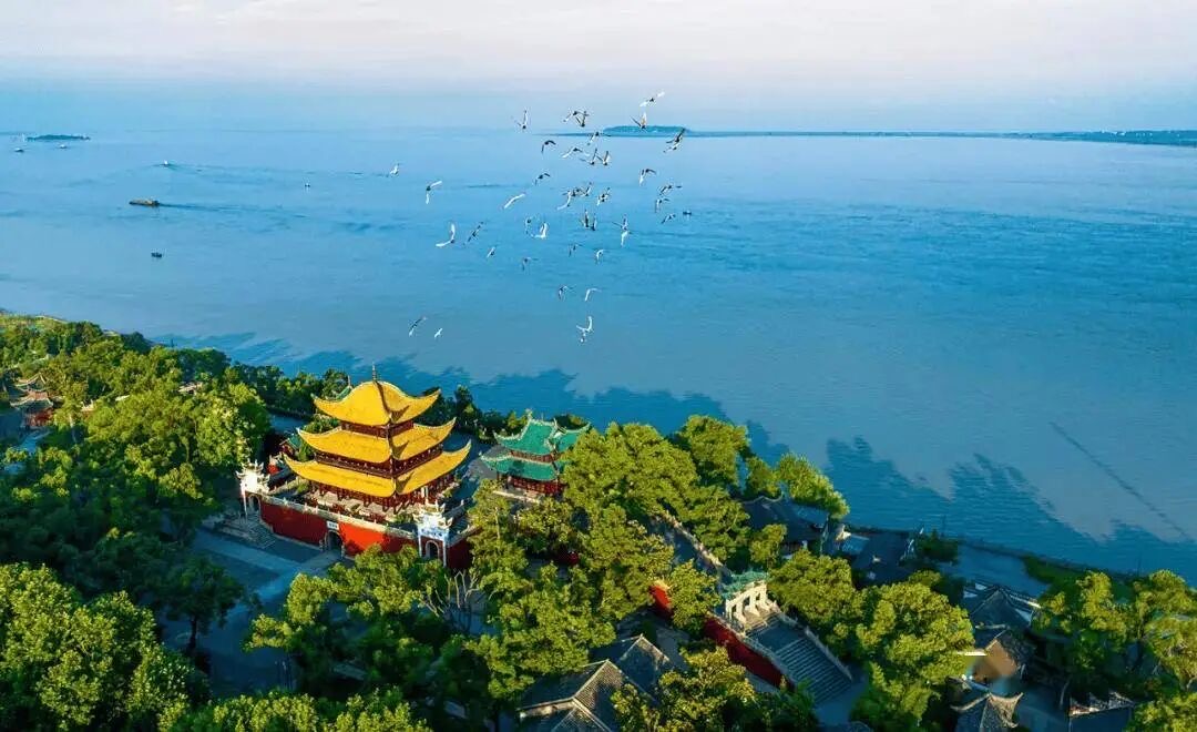 IMG_3203.jpeg IMG_3203.jpeg