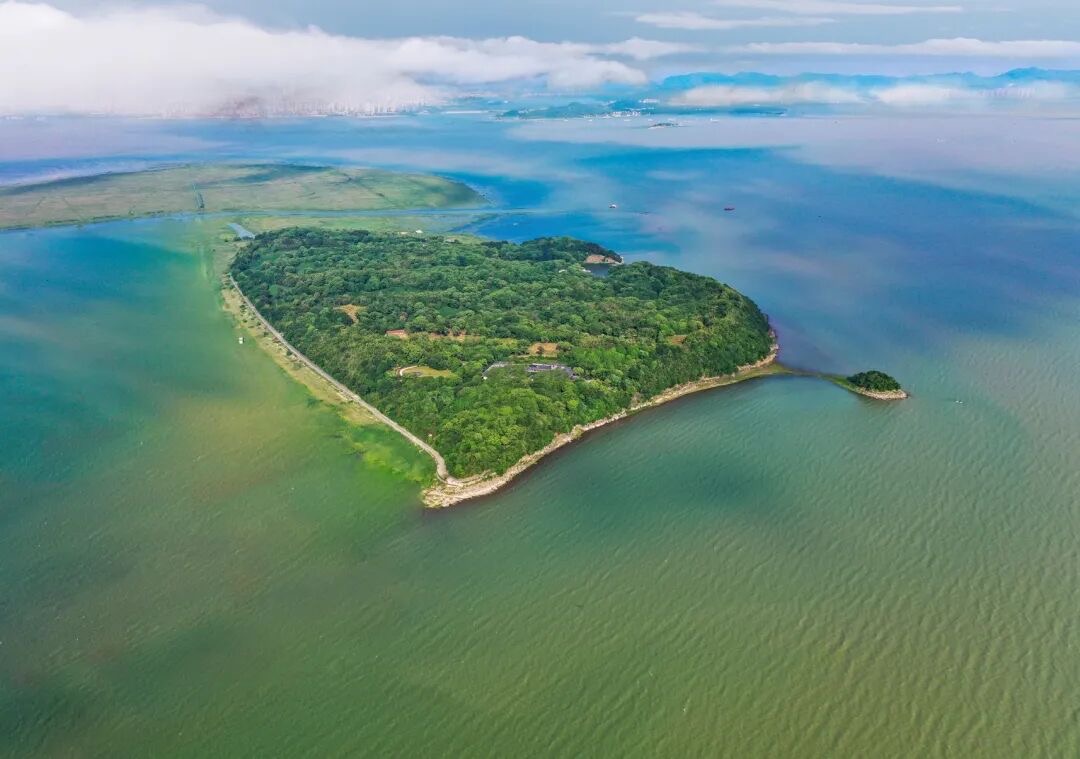 IMG_3202.jpeg IMG_3202.jpeg