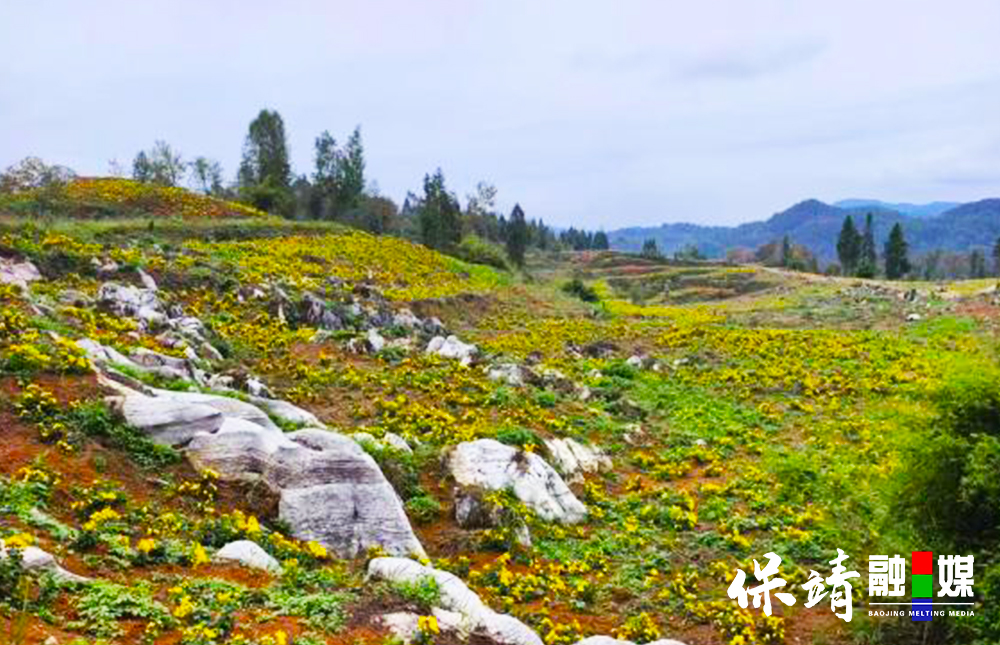 图片18.jpg 图片18.jpg