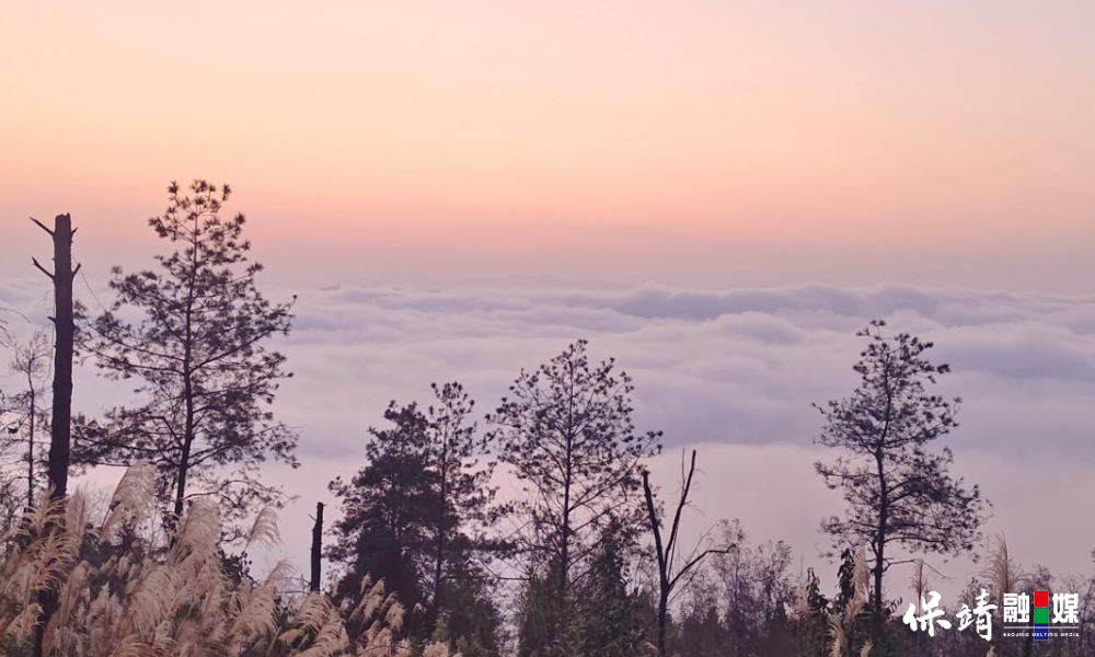 12月9日(135).jpg 12月9日(135).jpg