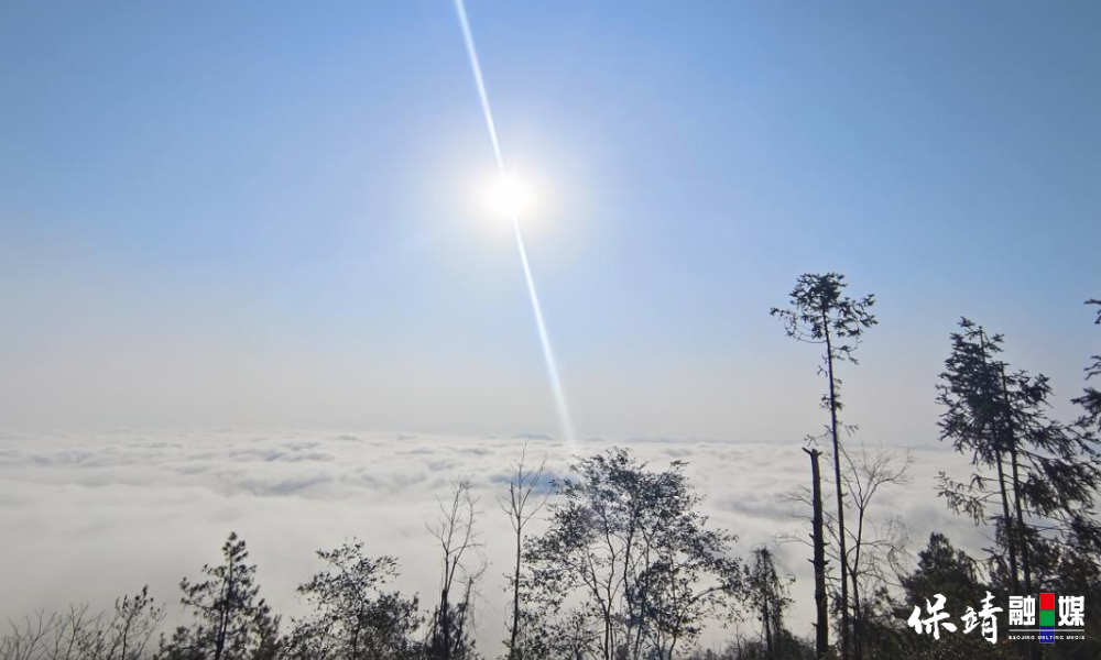 12月9日(133).jpg 12月9日(133).jpg