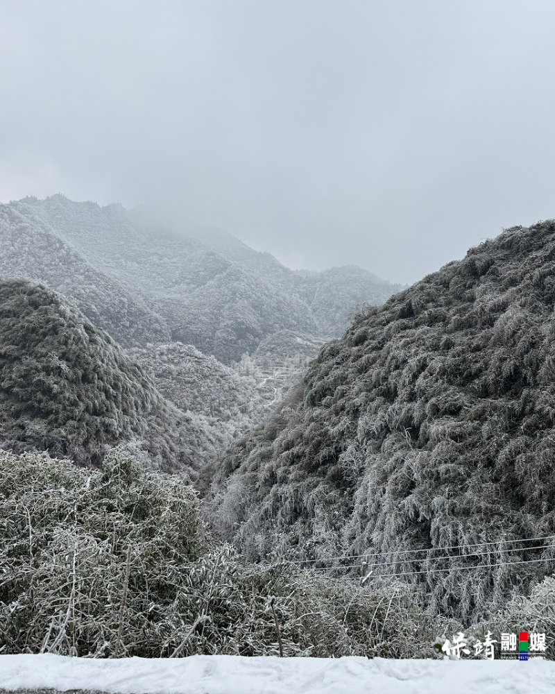 1月19日(25).jpg 1月19日(25).jpg