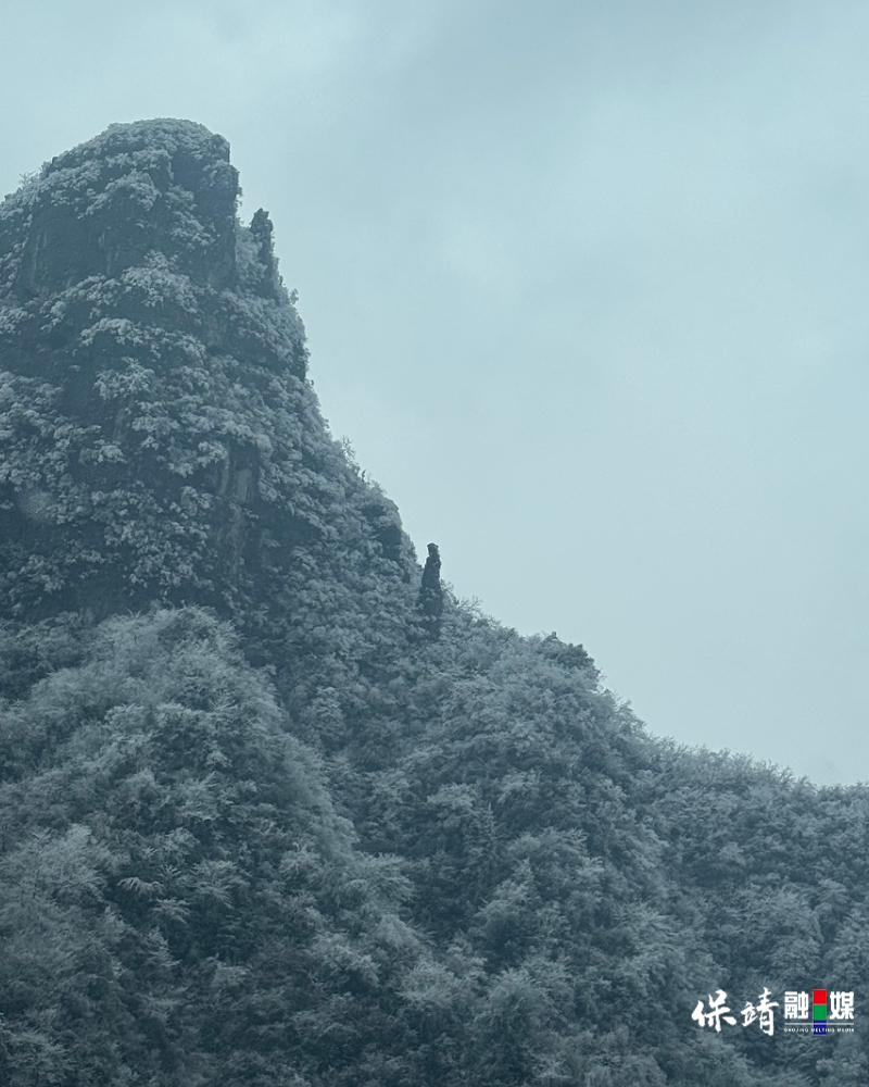 1月19日(26).jpg 1月19日(26).jpg