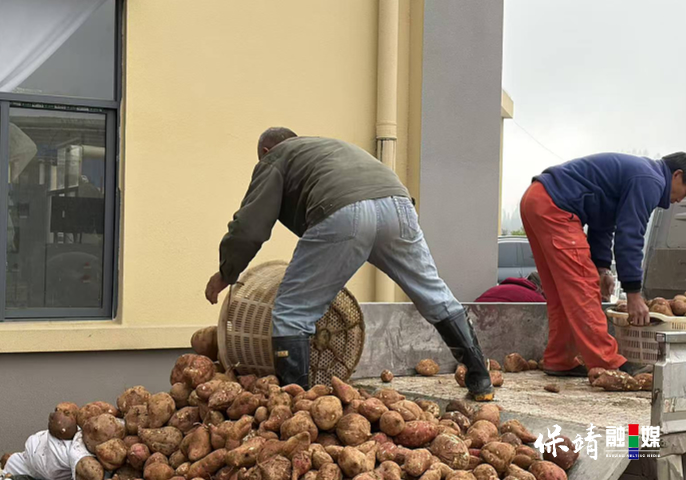 1月13日(11).jpg 1月13日(11).jpg