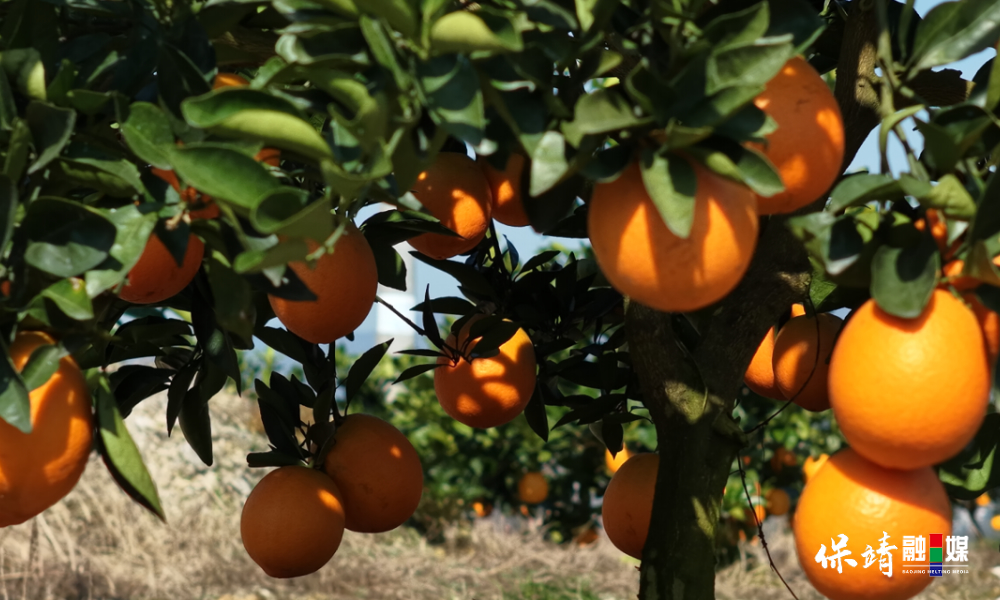 12月30日(72).jpg 12月30日(72).jpg