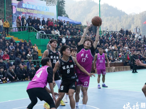 新春走基层 | 篮球争霸 茶歌飞扬——2026年湖南茶BA春茶上市系列活动篮球赛事圆满收官