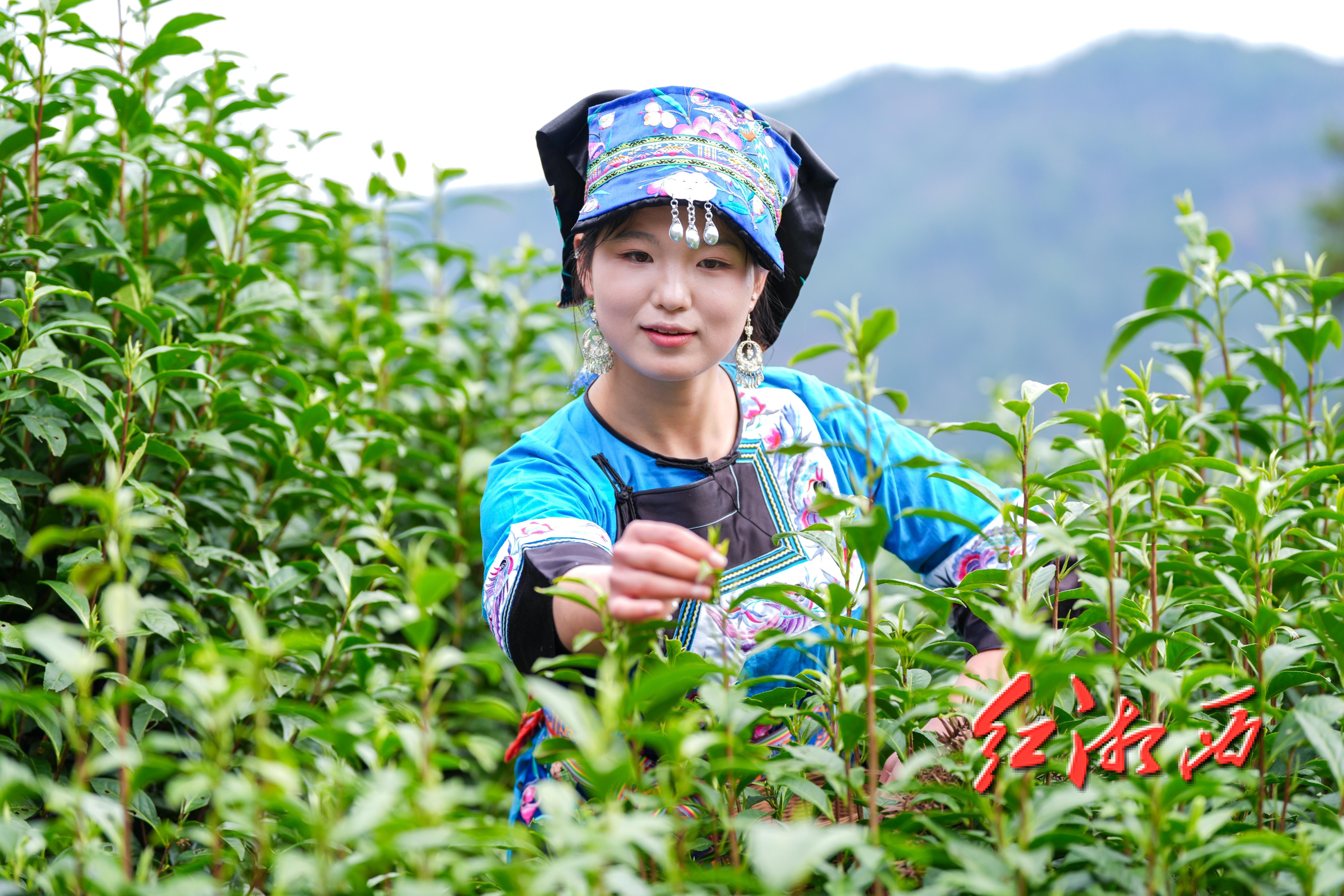 微信图片_2026-03-05_111201_522.jpg 微信图片_2026-03-05_111201_522.jpg