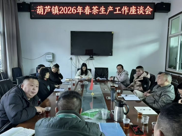 共谋春茶新篇 共促富民兴村——葫芦镇召开2026年春茶生产工作座谈会