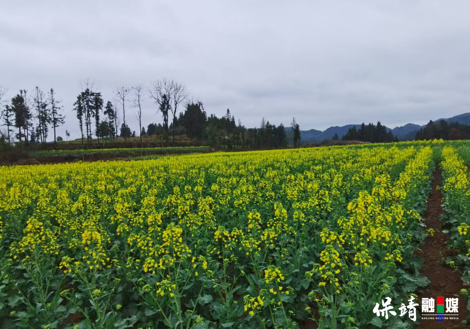 2月10日 (1)(55).png