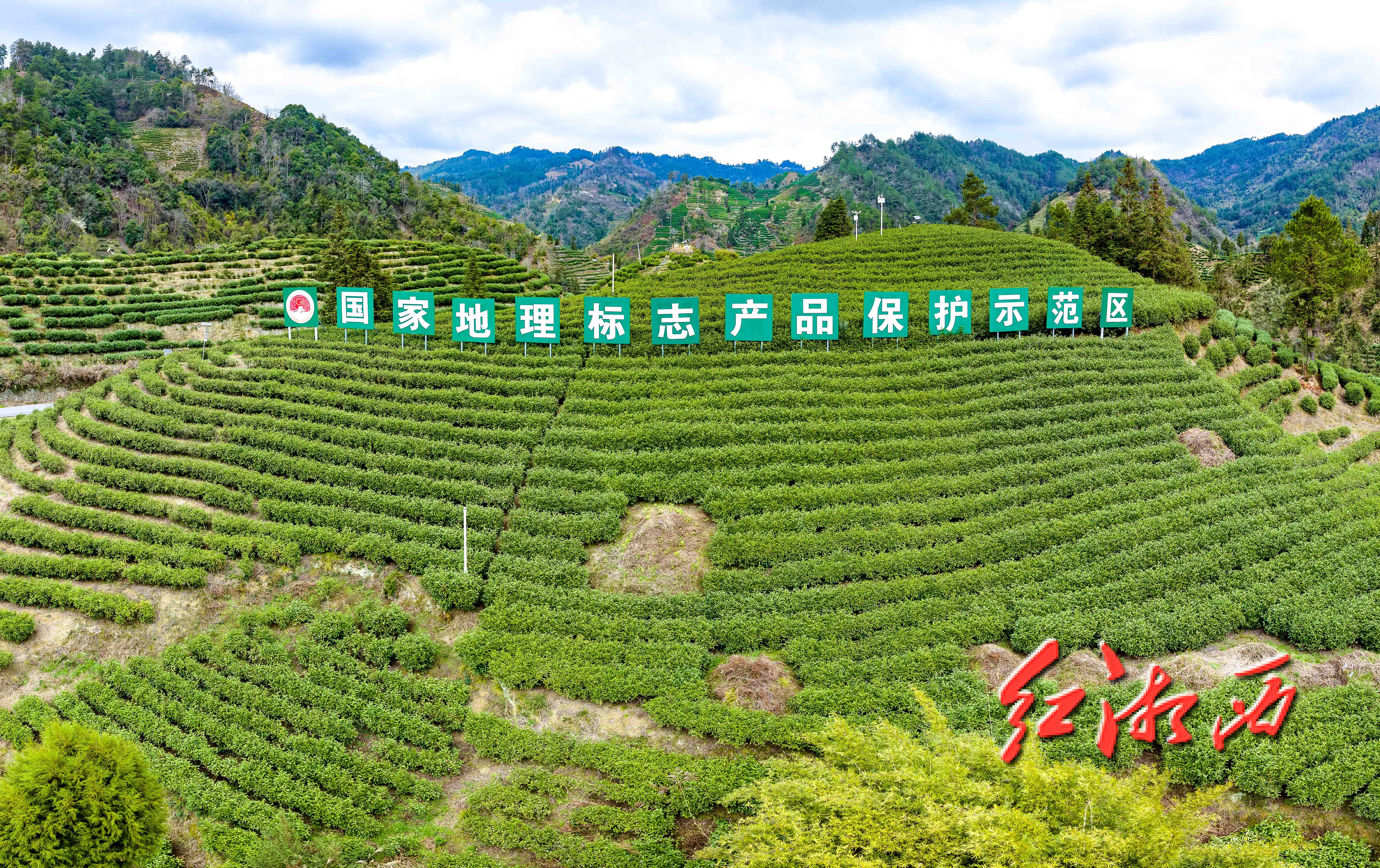 微信图片_2026-03-05_111204_754.jpg 微信图片_2026-03-05_111204_754.jpg