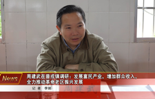 周建武在普戎镇调研：发展富民产业，增加群众收入，全力推动革命老区振兴发展