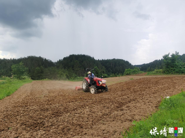 8月5日 (1)(8).jpg 8月5日 (1)(8).jpg