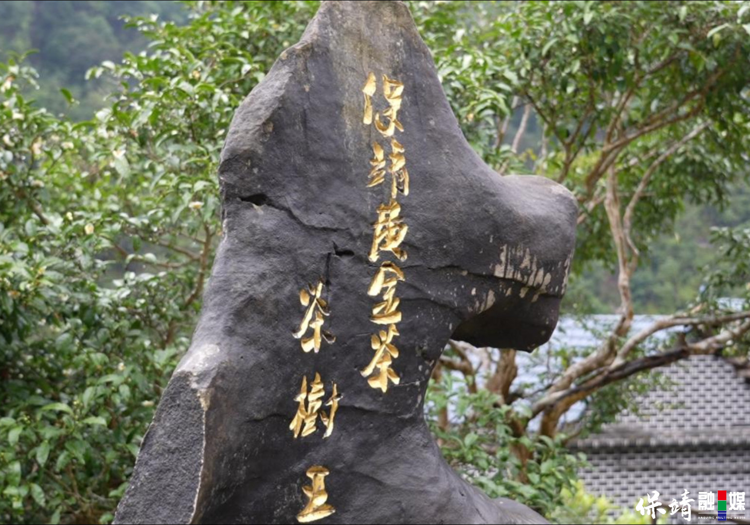2月6日(1).jpg