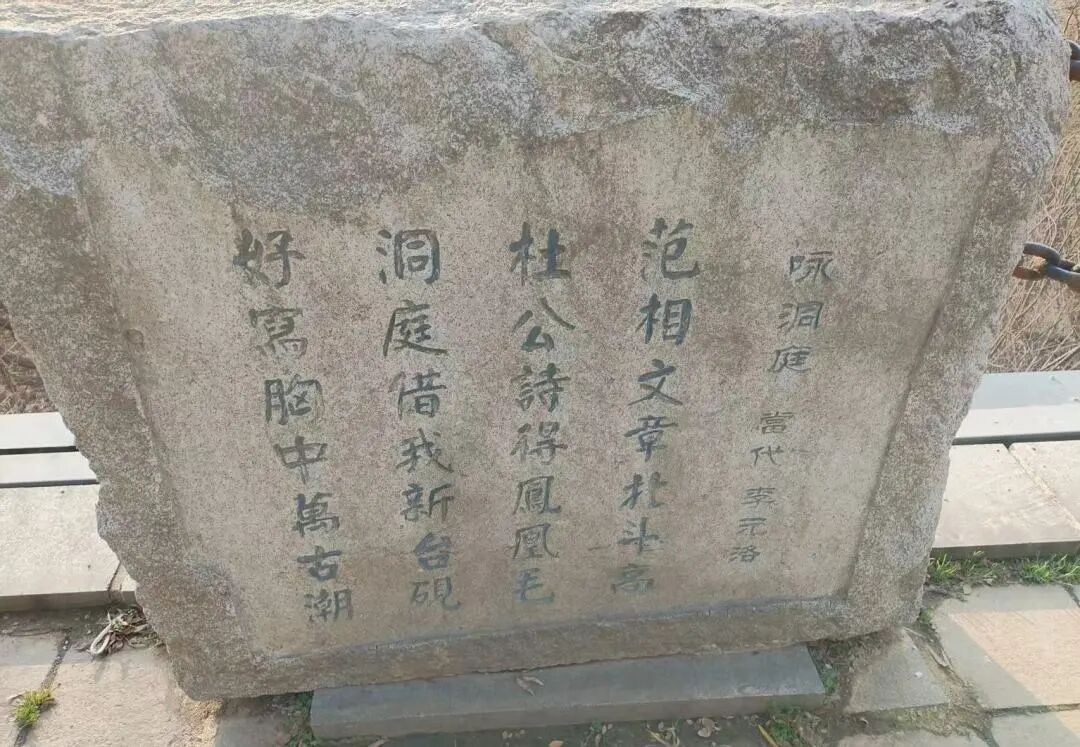7739.jpg 7739.jpg