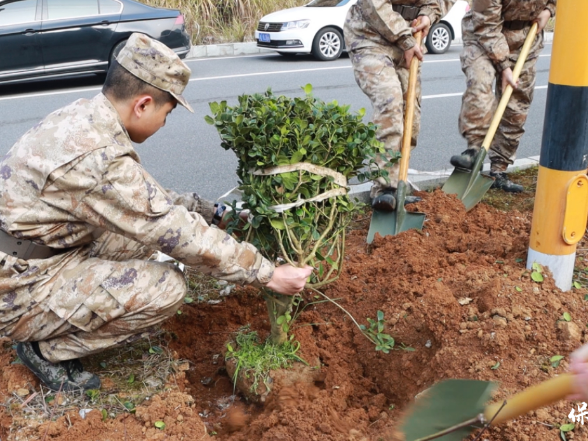 保靖县：植绿春风里 砺兵正当时