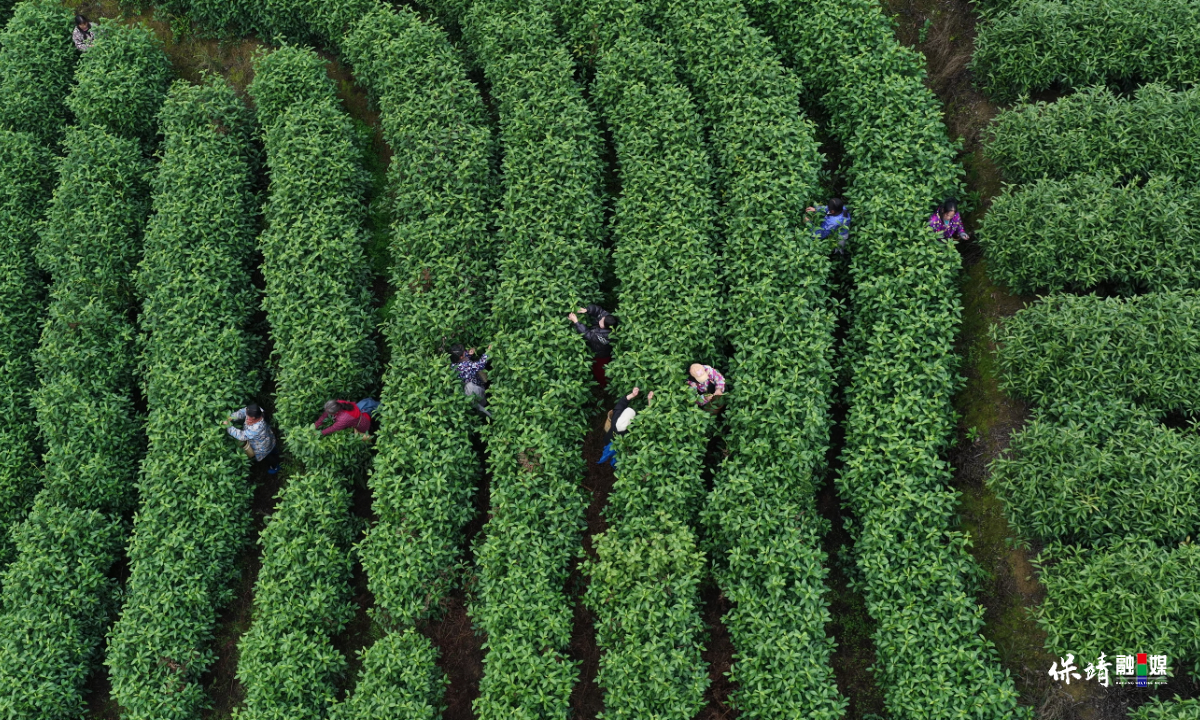 3月12日 (1)(1).jpg