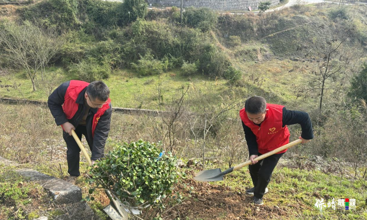 3月12日 (2)(5).jpg