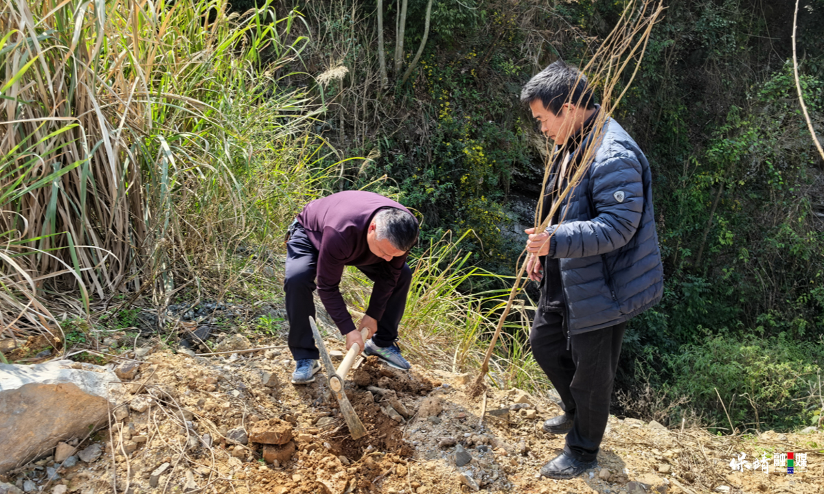 3月14日 (1)(21).jpg 3月14日 (1)(21).jpg