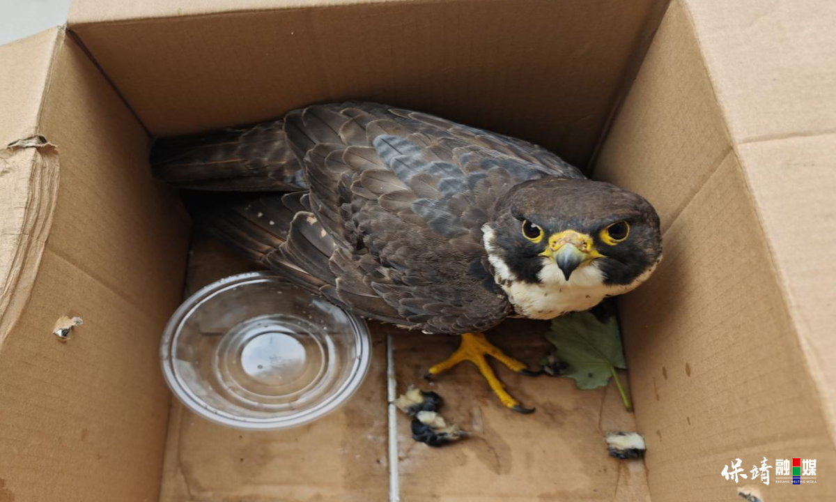 3月14日 (1)(52).jpg