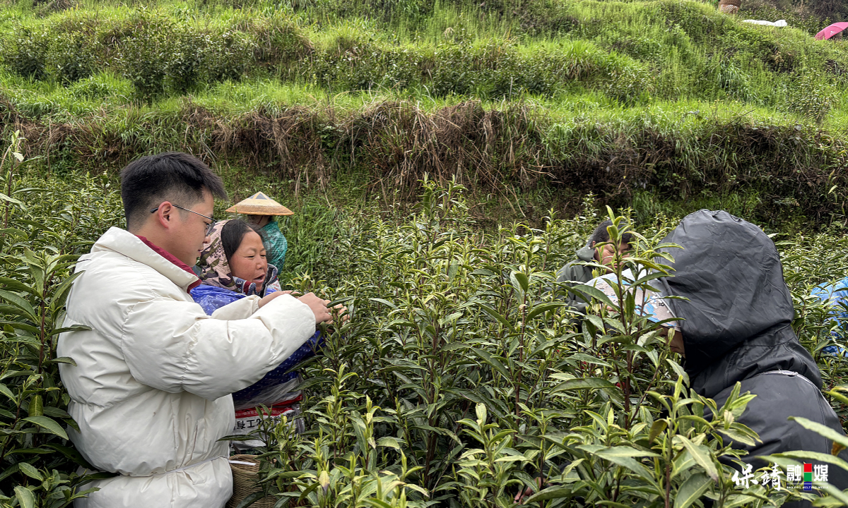 3月14日 (1)(49).jpg 3月14日 (1)(49).jpg