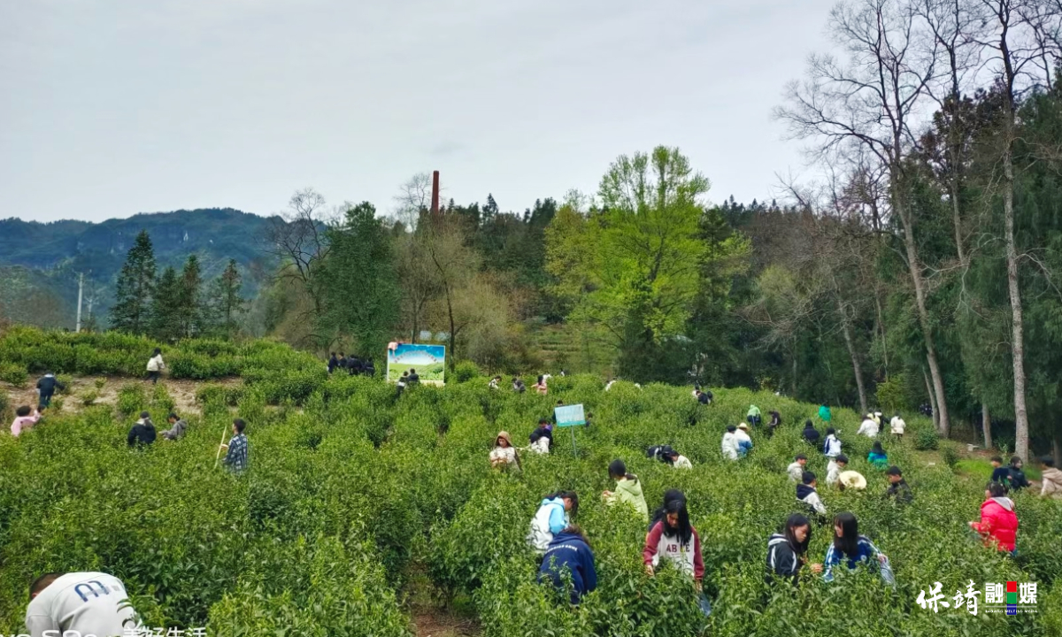 3月14日 (1)(65).jpg