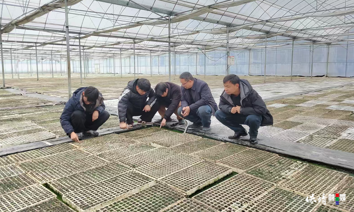 3月14日 (1)(56).jpg