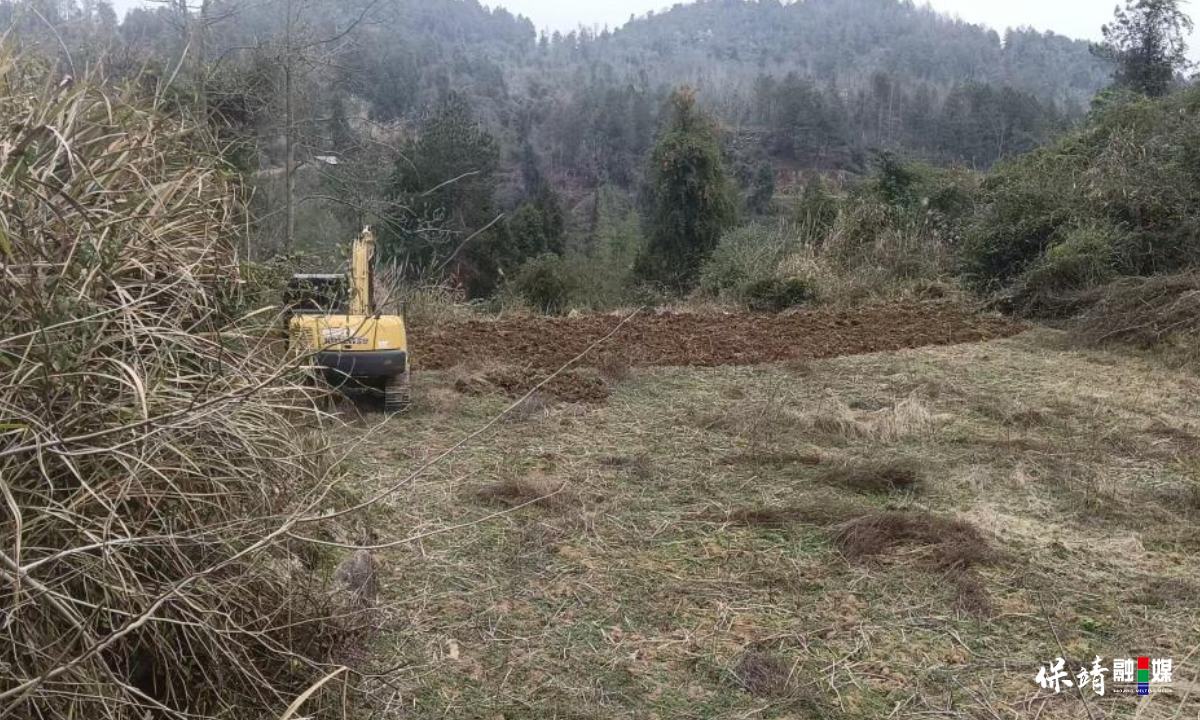 3月14日 (1)(117).jpg