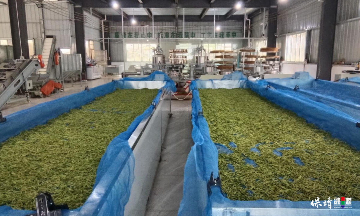 3月14日 (1)(116).jpg