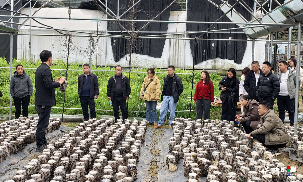 3月14日 (1)(112).jpg