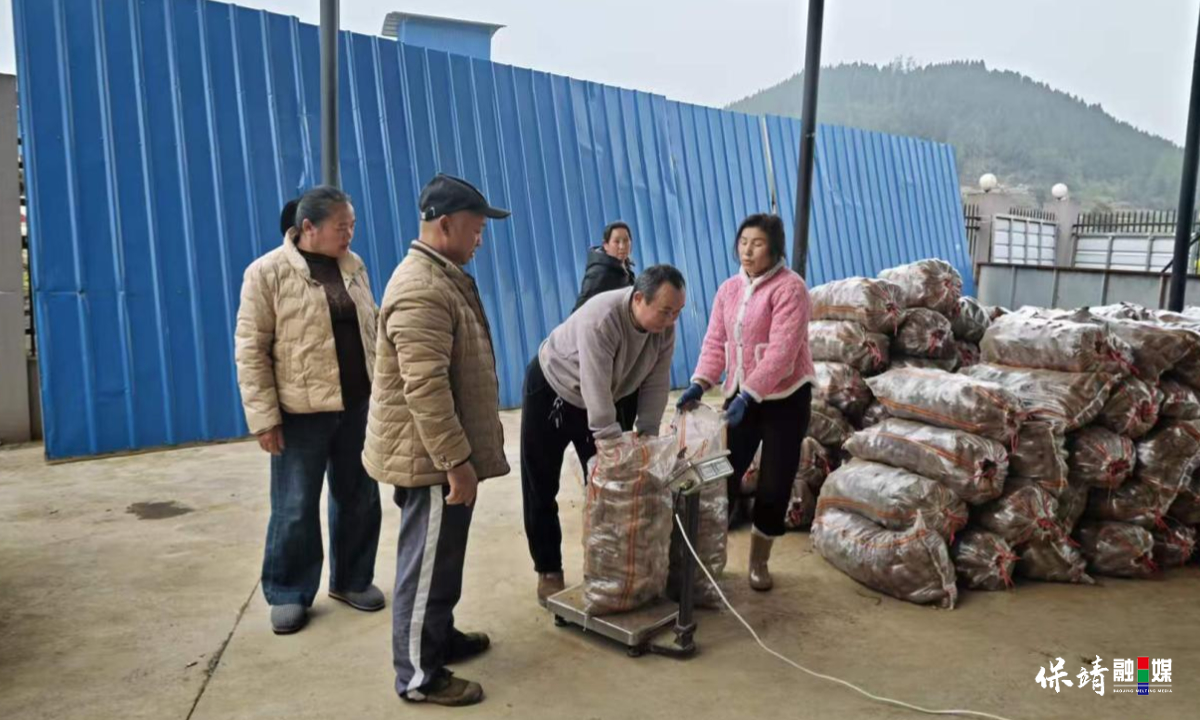 3月14日 (1)(125).jpg