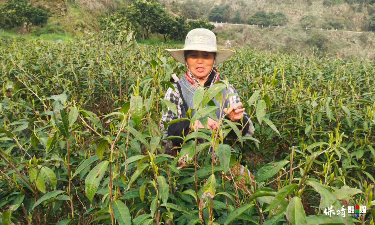 3月14日 (1)(123).jpg