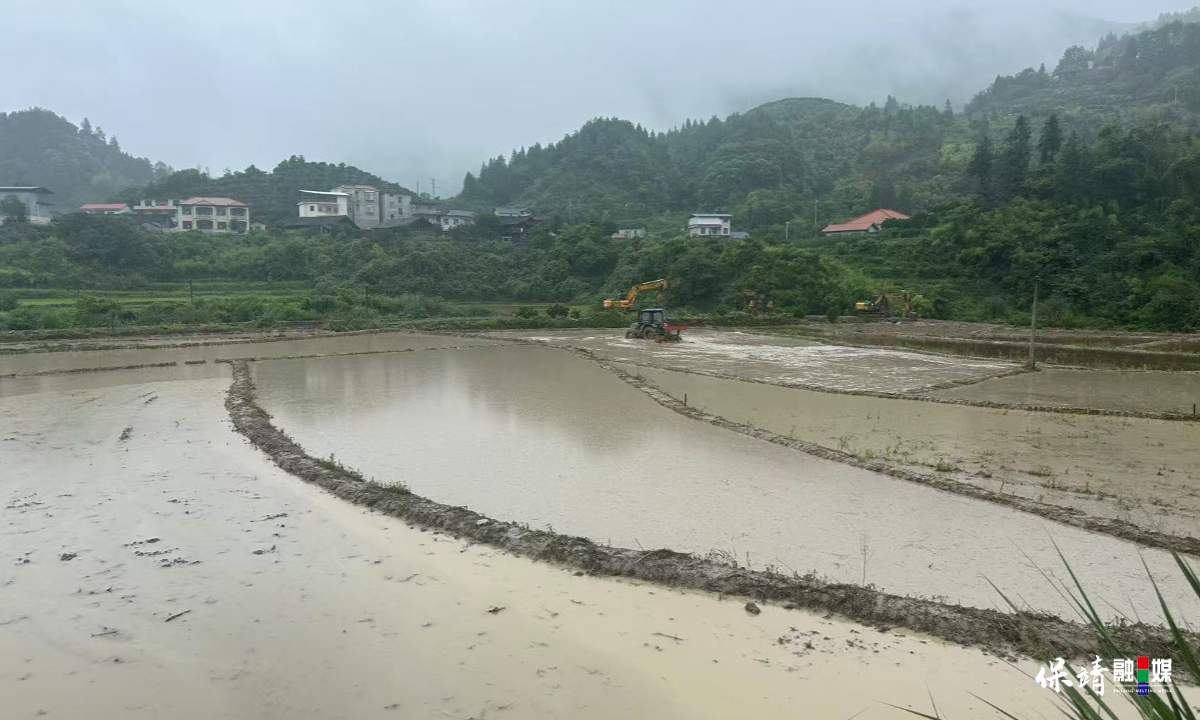 3月14日 (1)(122).jpg