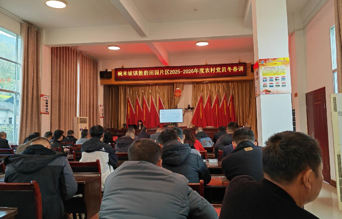 片区联训聚合力 振兴路上共解题  ——碗米坡镇组织党员冬春训赋能片区帮扶