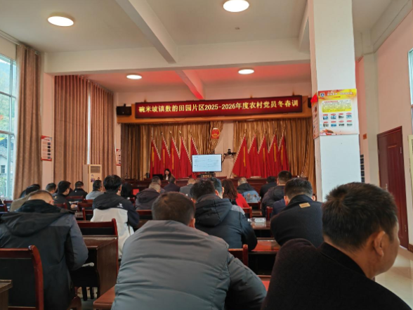 片区联训聚合力 振兴路上共解题  ——碗米坡镇组织党员冬春训赋能片区帮扶