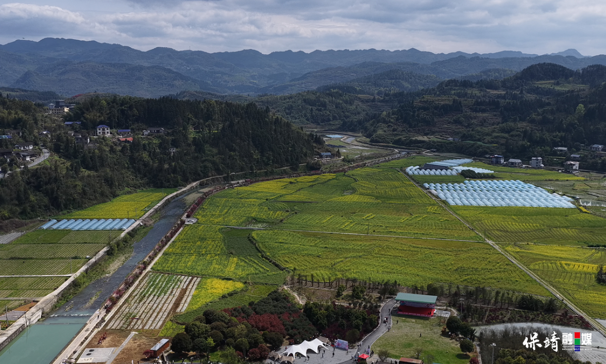 3月14日 (1)(161).jpg 3月14日 (1)(161).jpg