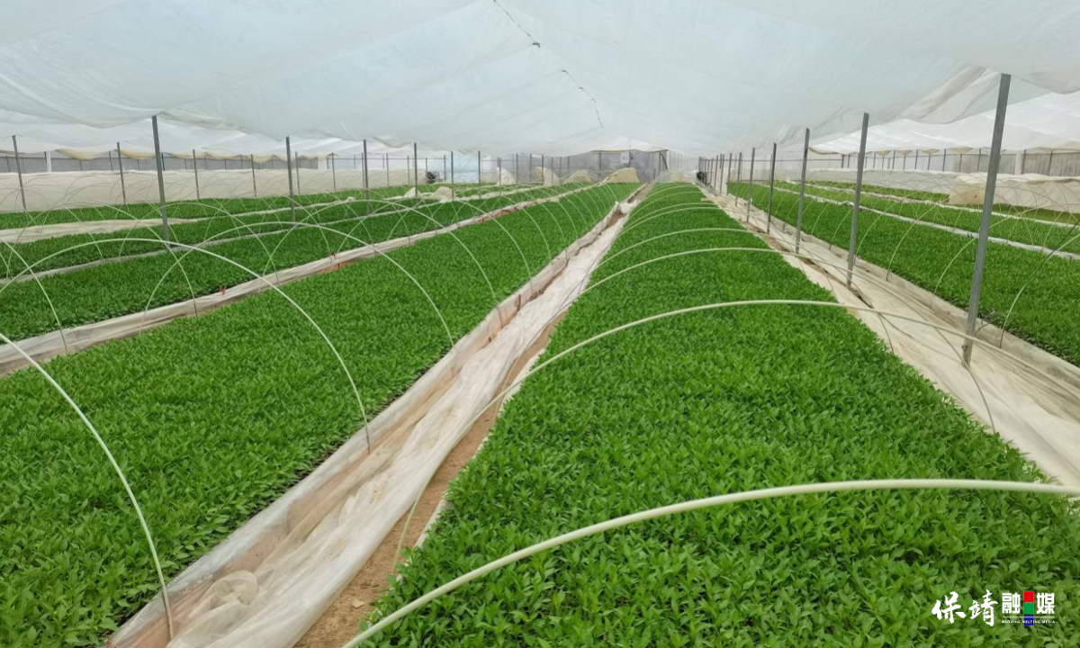 3月14日 (1)(192).jpg 3月14日 (1)(192).jpg