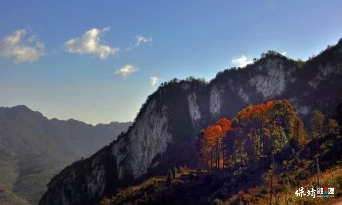 3月14日 (1)(193).jpg 3月14日 (1)(193).jpg