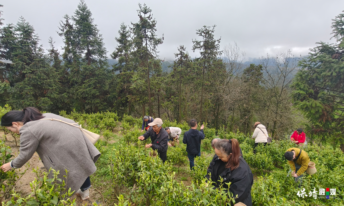 3月14日 (1)(188).jpg