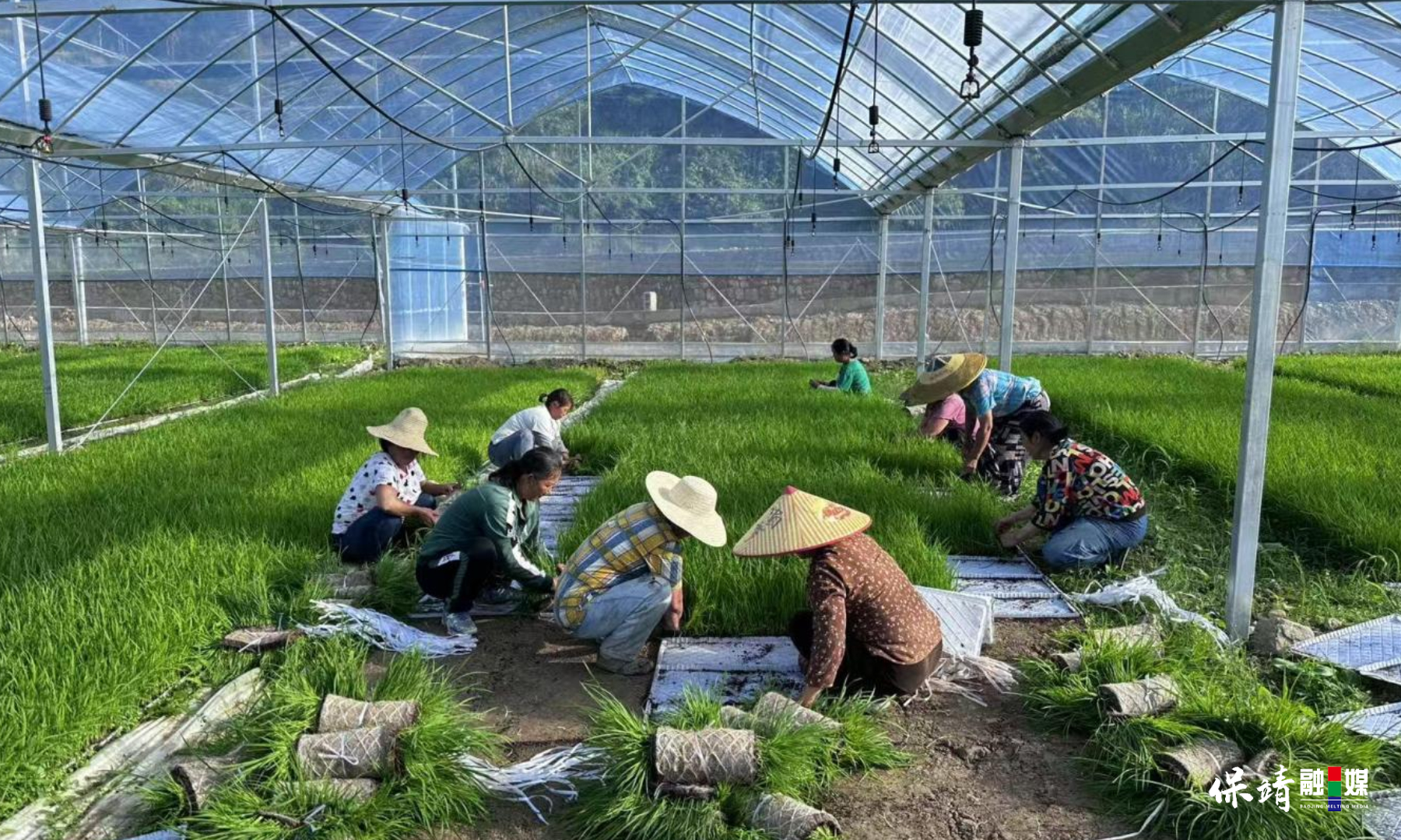 3月14日 (1)(303).jpg