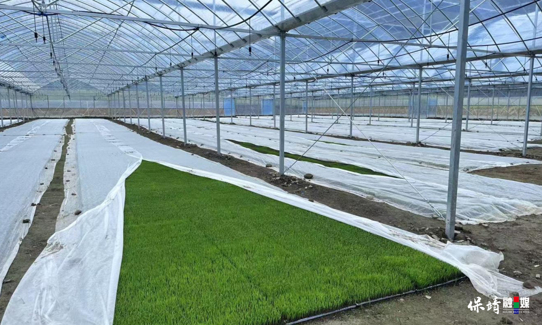 3月14日 (1)(304).jpg