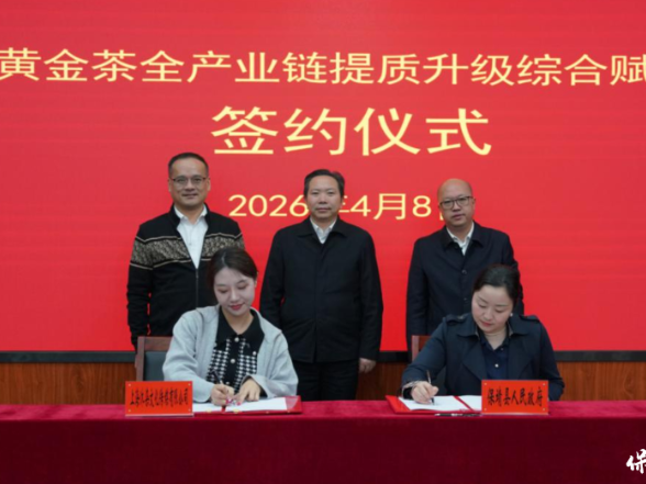 保靖黄金茶全产业链提质升级 综合赋能项目签约