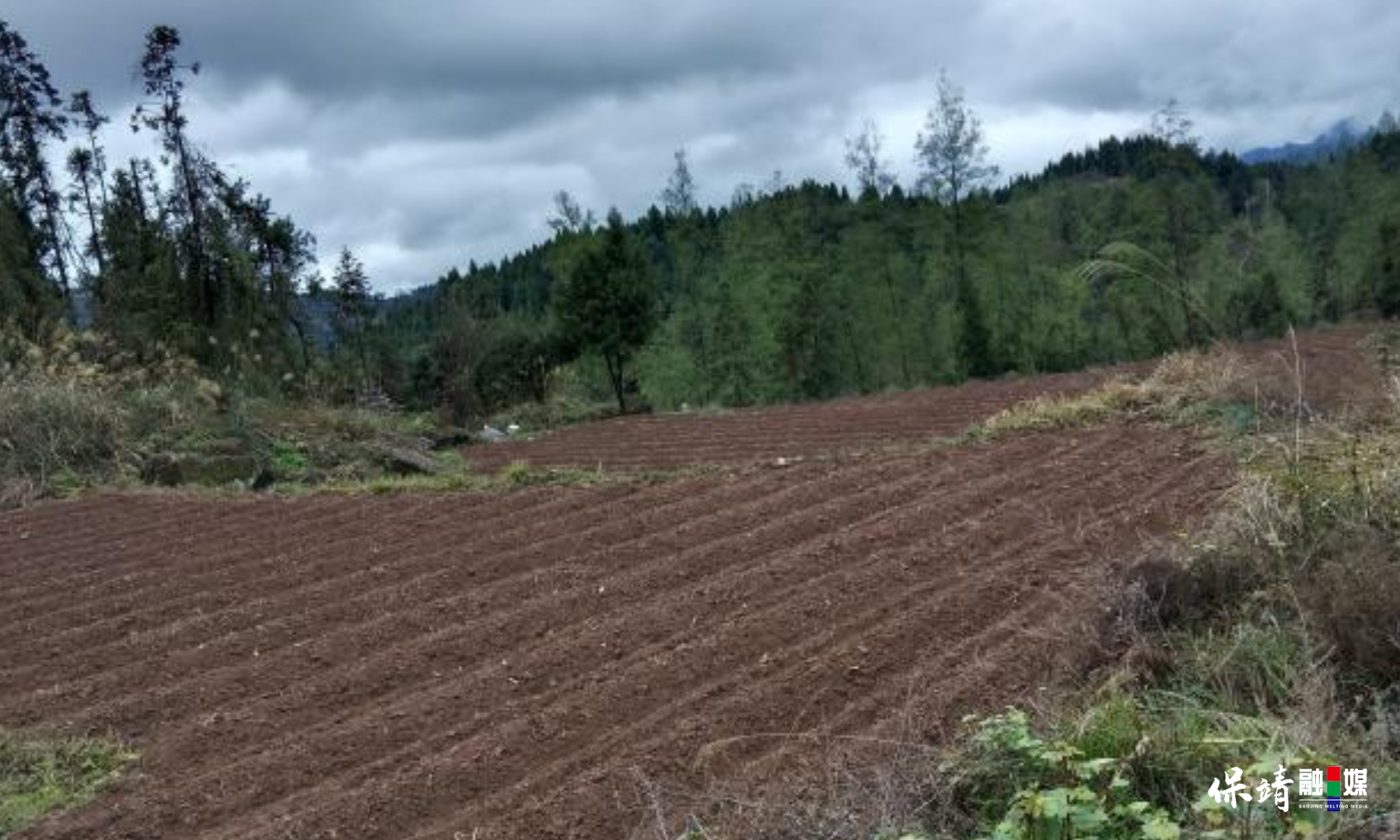 3月14日 (1)(312).jpg