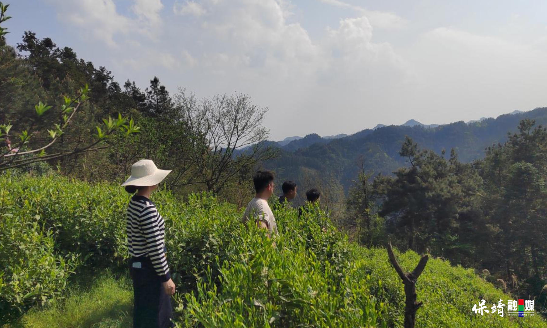 3月14日 (1)(306).jpg