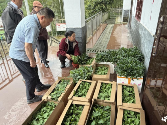 春雨润田送苗忙 水利帮扶助振兴——保靖县水利局为帮扶村免费发放优质蔬菜种苗