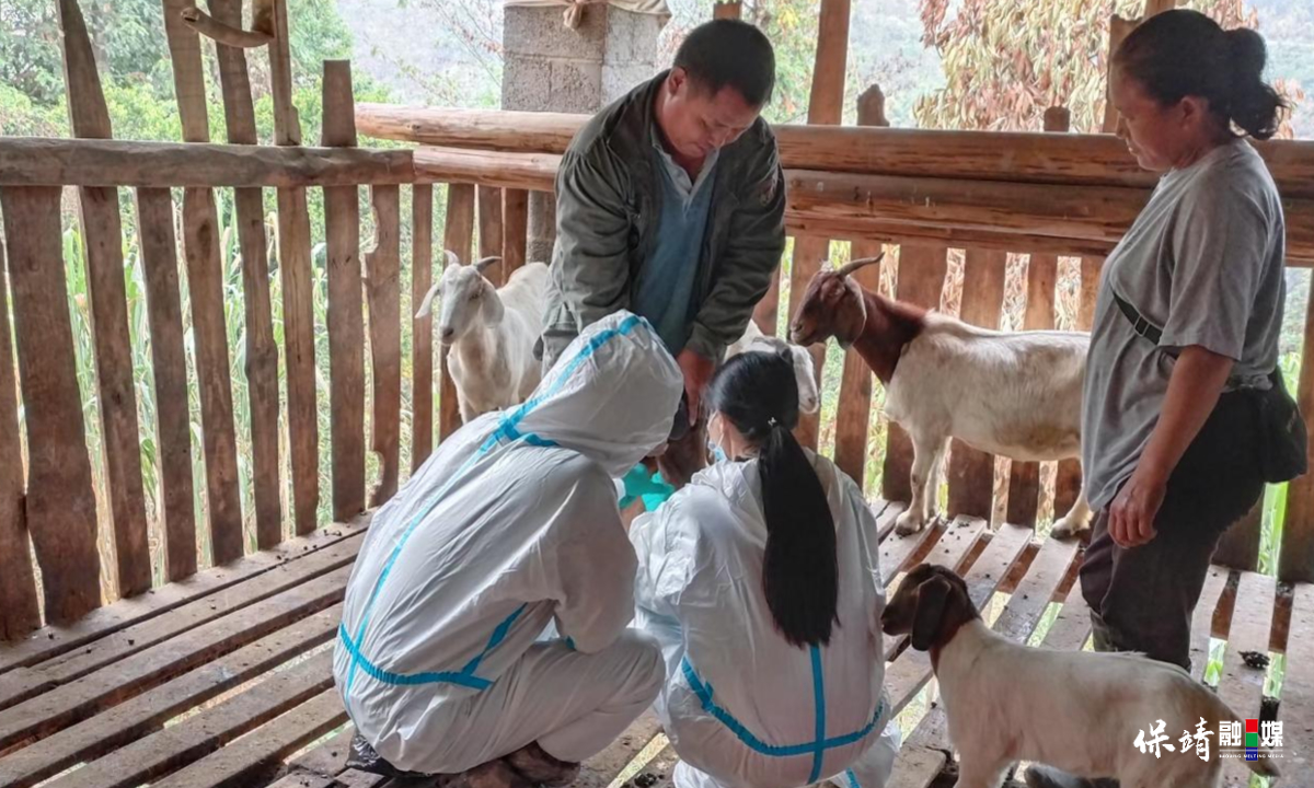 3月14日 (1)(345).jpg 3月14日 (1)(345).jpg