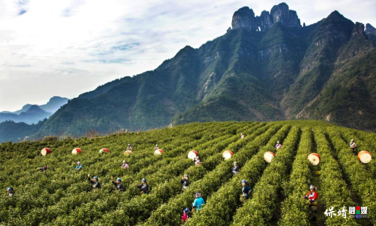 3月14日 (1)(341).jpg