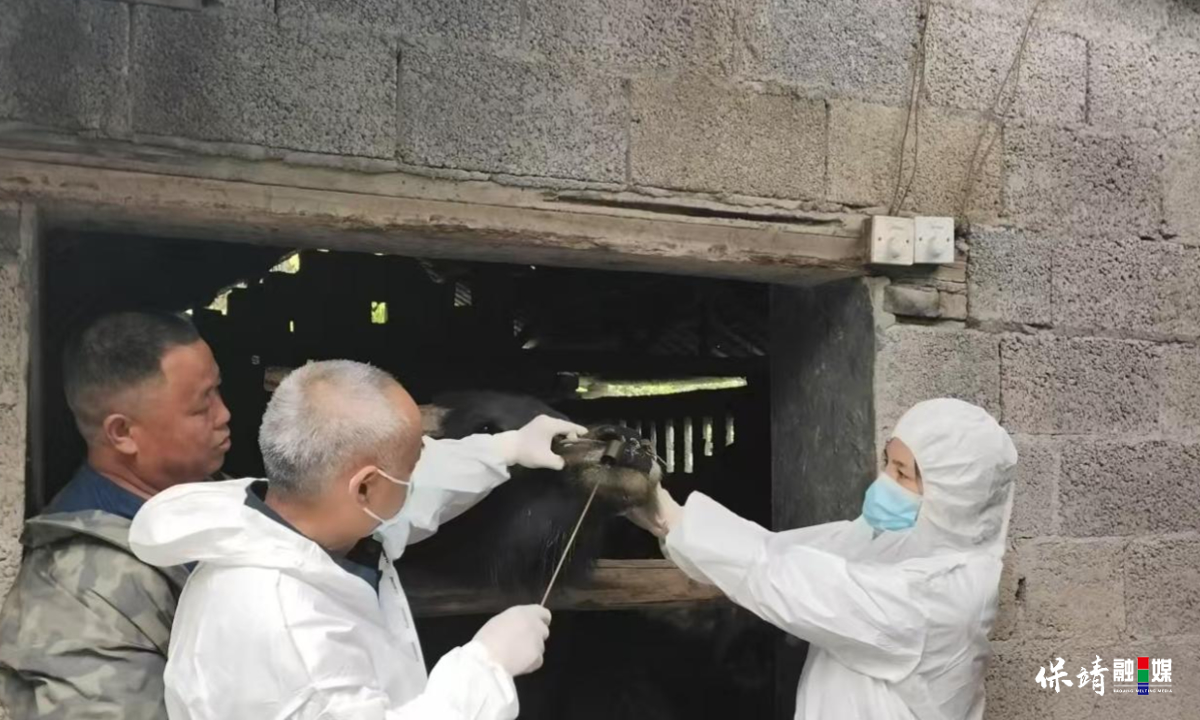 3月14日 (1)(346).jpg 3月14日 (1)(346).jpg