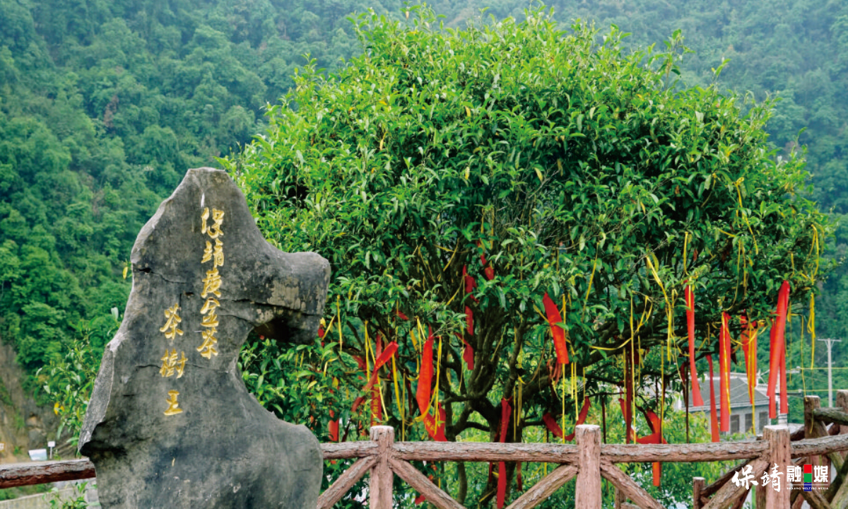 3月14日 (1)(342).jpg