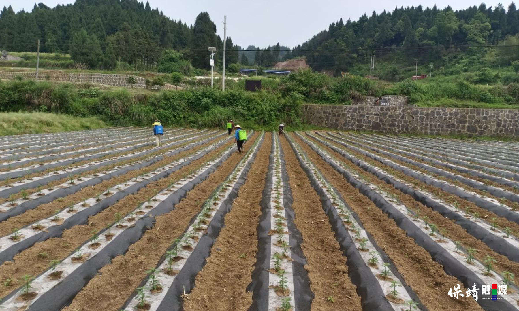 3月14日 (1)(336).jpg 3月14日 (1)(336).jpg