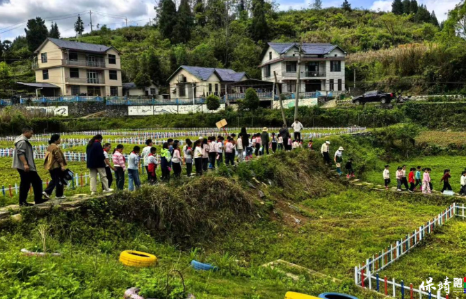 保靖县阳朝乡：产学研基地书写“田间课堂”大文章